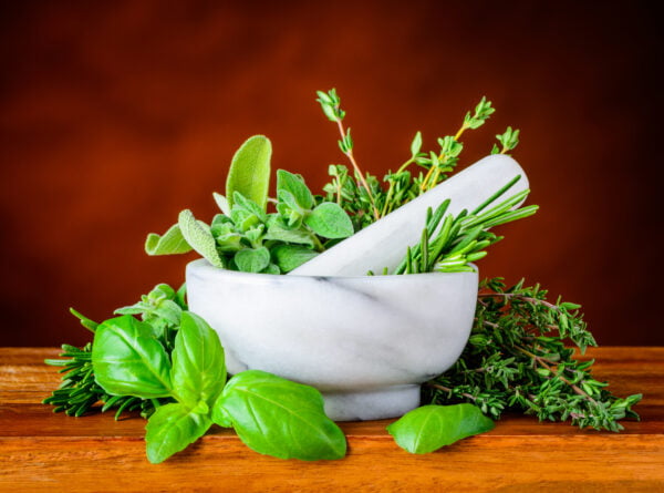 Pestle and Morthar with Green Basil, Mint and Rosemary